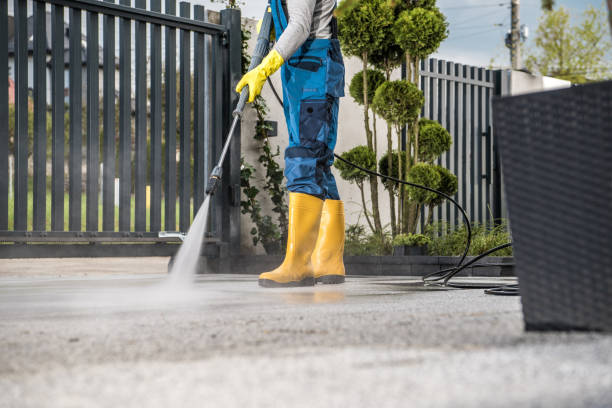 Best Dumpster Area Cleaning  in Port Charlotte, FL
